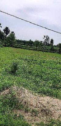  Agricultural Land for Sale in Iruvaram, Chittoor