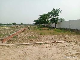  Residential Plot for Sale in Yamuna Expressway, Greater Noida