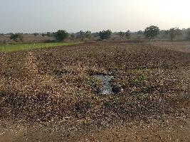  Agricultural Land for Sale in Segaon, Khargone