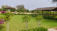  Residential Plot for Sale in Kalwar Road, Jaipur