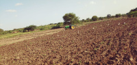  Agricultural Land for Sale in Narsapur, Medak