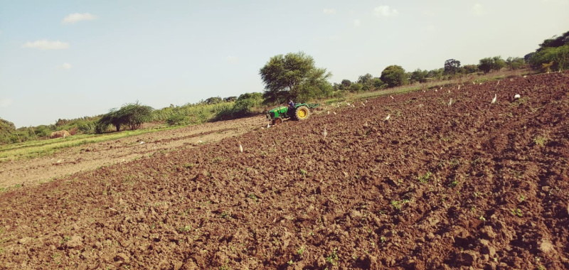  Agricultural Land 15 Acre for Sale in Narsapur, Medak