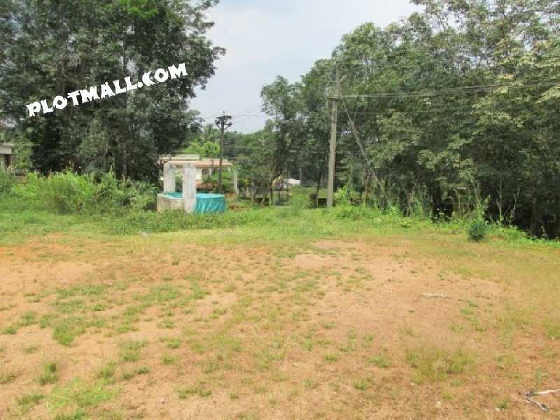 Residential Plot 6 Cent for Sale in Angamaly, Ernakulam