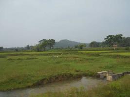  Agricultural Land for Sale in Kilaghat, Darbhanga