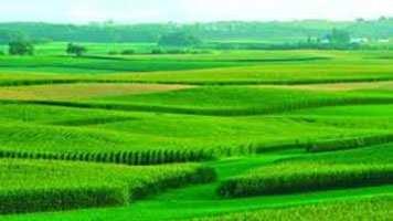  Agricultural Land for Sale in Bijwasan, Delhi