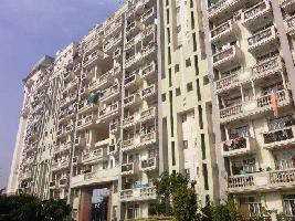 3 BHK Flat for Rent in Sector 48 Gurgaon