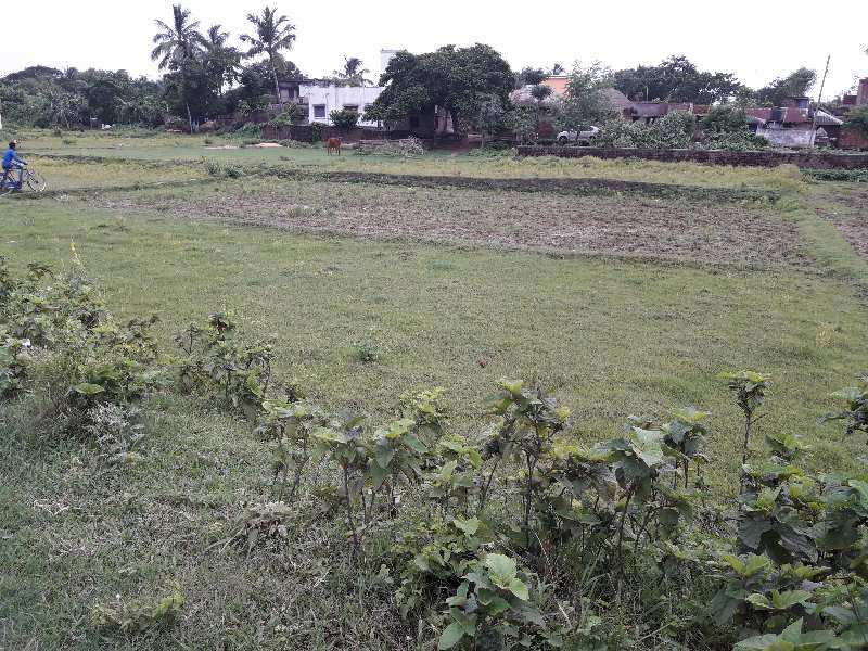 Commercial Land 15000 Sq.ft. for Sale in Burdwan-i Block, Bardhaman