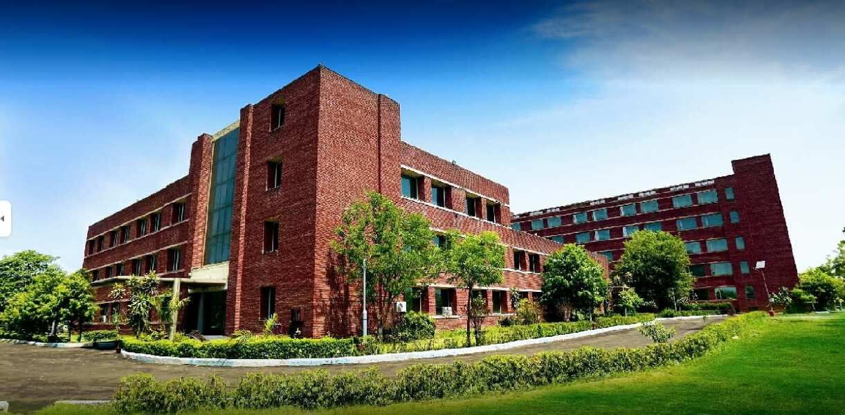  Agricultural Land 1210 Sq. Yards for Sale in Bhondsi, Gurgaon