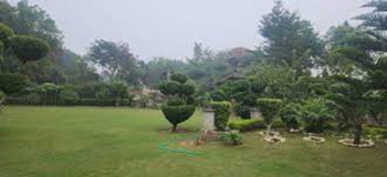  Agricultural Land for Sale in Sohna Road, Gurgaon