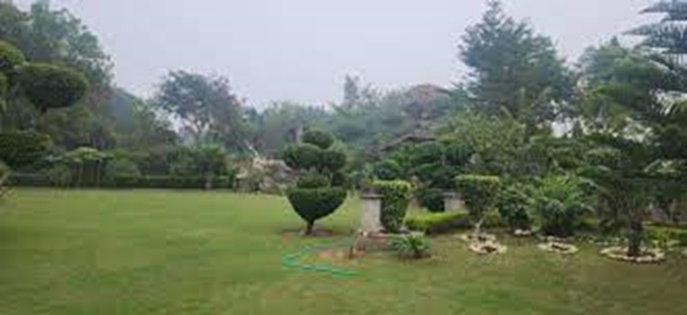  Agricultural Land 1000 Sq. Yards for Sale in Sohna Road, Gurgaon