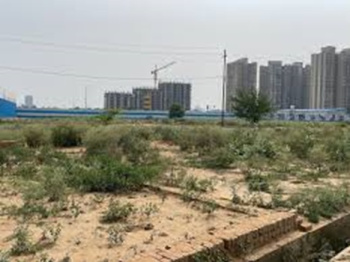  Residential Plot for Sale in Sector 7 Palwal