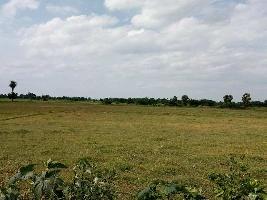  Agricultural Land for Sale in Parandur, Kanchipuram