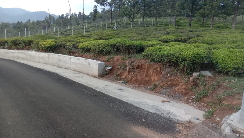  Residential Plot 22 Cent for Sale in Ketti, Ooty