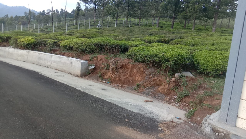 Residential Plot 22 Cent for Sale in Ketti, Ooty