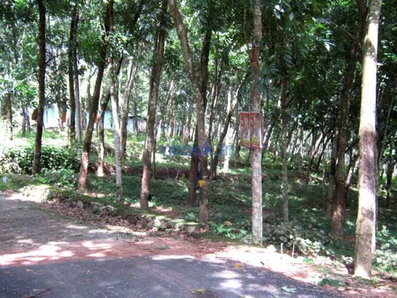 Industrial Land 30 Acre for Sale in Angamaly, Ernakulam