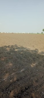  Agricultural Land 90 Cent for Sale in Ankireddy Palem, Guntur