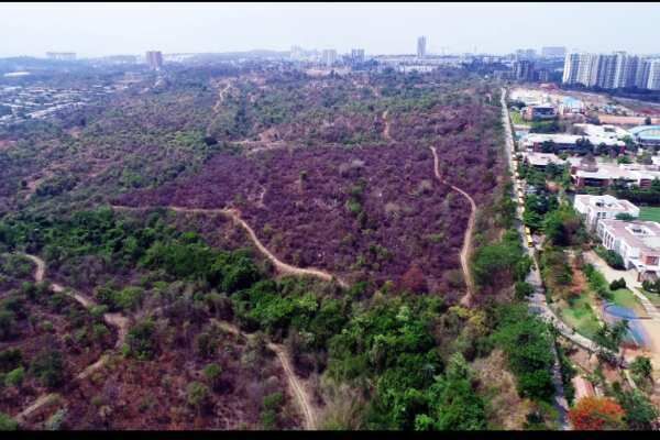  Residential Plot 43560 Sq.ft. for Sale in Kanakapura, Bangalore