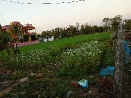  Residential Plot for Sale in Nainpur, Mandla