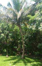  Commercial Land for Sale in Sultanpet, Palakkad