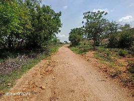  Agricultural Land for Sale in Fathima Nagar, Tiruchirappalli