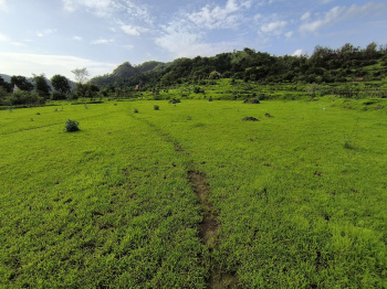  Agricultural Land for Sale in Pen, Raigad