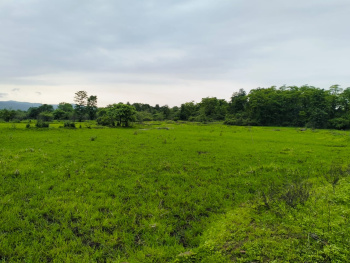  Residential Plot for Sale in Vindhane, Navi Mumbai
