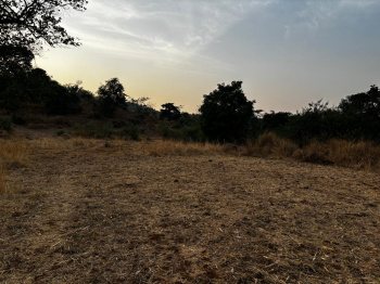  Residential Plot for Sale in Pali, Raigad