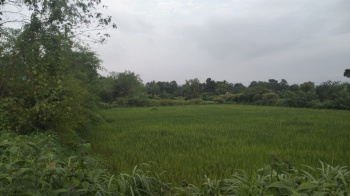  Residential Plot for Sale in Pen, Raigad