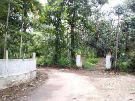  Residential Plot for Sale in Irinjalakuda, Thrissur