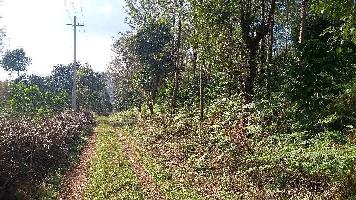  Agricultural Land for Sale in Devanhalli Road, Bangalore