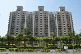 3 BHK Flat for Rent in DLF Phase I, Gurgaon