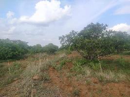  Agricultural Land for Sale in Shoolagiri, Hosur