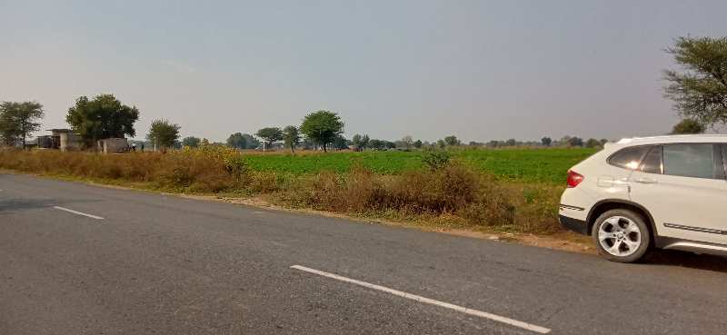 Agricultural Land 33 Bigha for Sale in bharatpur alawar highway Behror