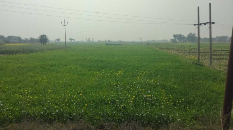  34000 Sq.ft. Residential Plot for Sale in Kasimabad, Ghazipur