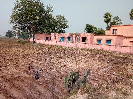  Residential Plot for Sale in Bedhna, Deo, Aurangabad Bihar, Aurangabad Bihar
