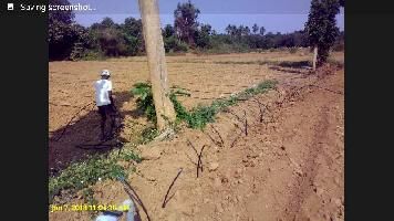  Agricultural Land for Sale in chitvel Mandal, Cuddapah, Cuddapah