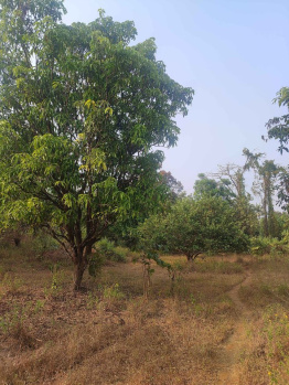  Residential Plot for Sale in Nagothana, Raigad