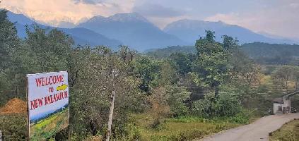  Residential Plot for Sale in Rajpur, Palampur