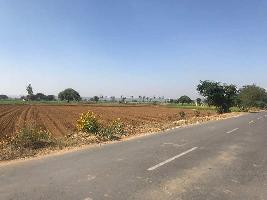  Agricultural Land for Sale in Tosham, Bhiwani