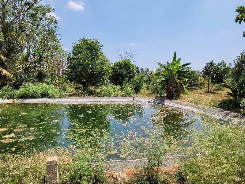 Farm Land for Sale in Nandagudi, Bangalore (REI1029604)