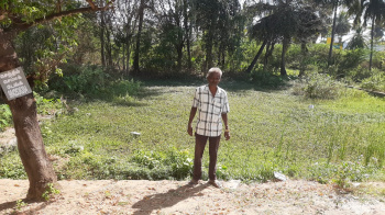  Agricultural Land for Sale in Kaveripattinam, Krishnagiri