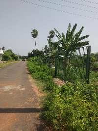  Agricultural Land for Sale in Silvarpatti, Dindigul
