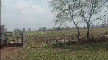 Agricultural Land for Sale in Bilaspur Road, Raipur