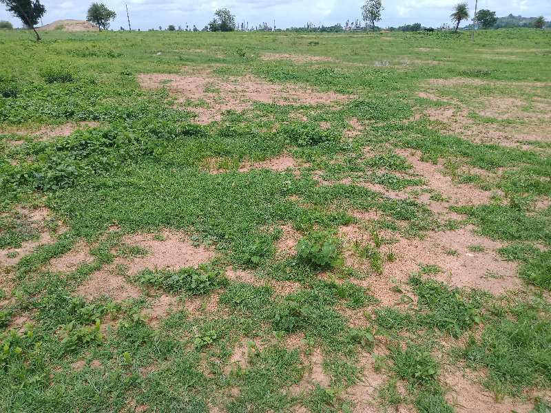  Agricultural Land 18 Acre for Sale in SARANGAPUR NIZAMABAD TELANGANA STATE Nizamabad