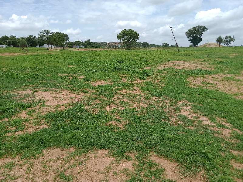  Agricultural Land 18 Acre for Sale in SARANGAPUR NIZAMABAD TELANGANA STATE Nizamabad