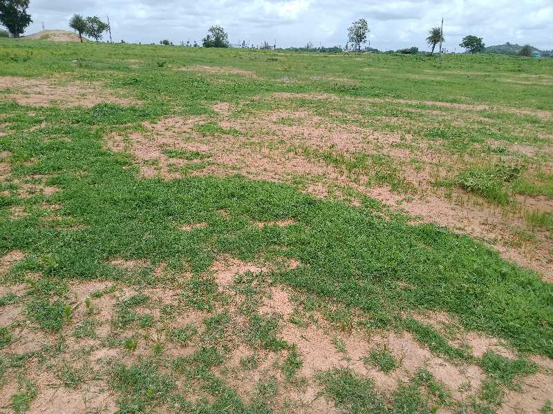  Agricultural Land 18 Acre for Sale in SARANGAPUR NIZAMABAD TELANGANA STATE Nizamabad