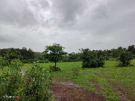  Residential Plot for Sale in Tala, Raigad