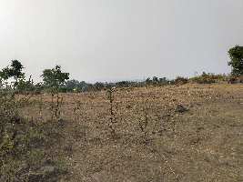  Residential Plot for Sale in Roha, Raigad