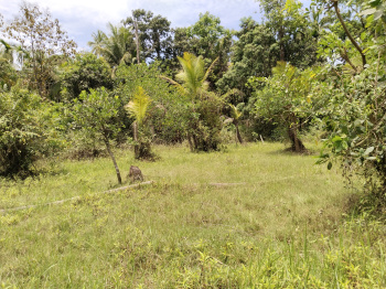  Residential Plot for Sale in Chaul, Alibag, Raigad