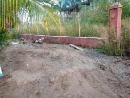  Residential Plot for Sale in Nagaon, Alibag, Raigad